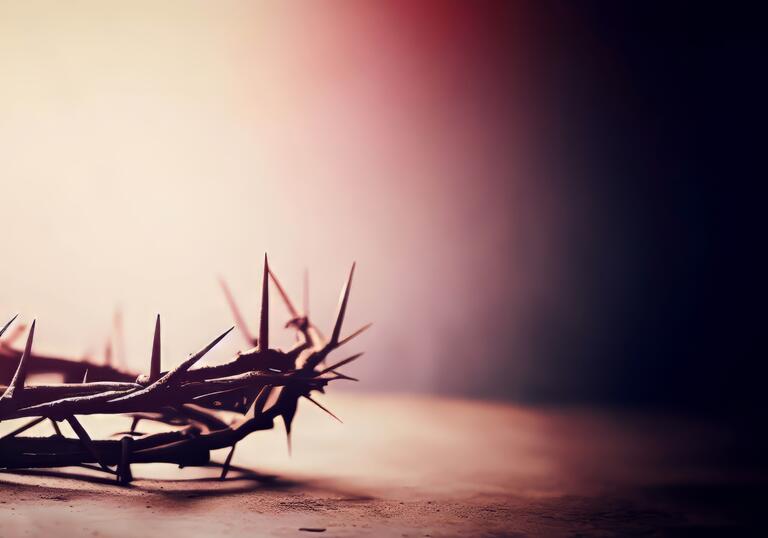 Close up image of a crown of thorns