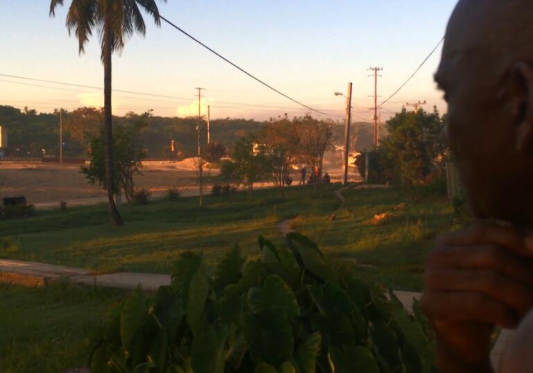 A man looks out over a landscape in the early evening. There is a palm tree in the foreground.