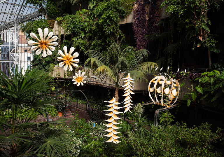 sculptures hang in the Conservatory