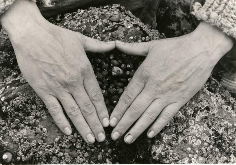 Hands making a triangle shape over stones