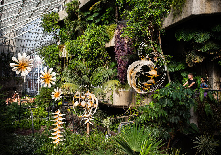 sculptures hang from the ceiling of the Conservatory