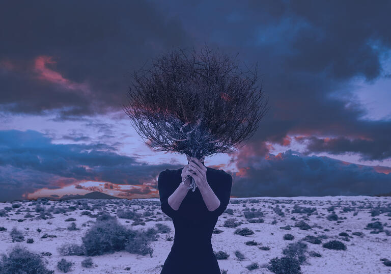 Figure in the foreground dressed in black, holding a bunch of dried, burnt foliage, with desert landscape in the background and cloudy, red skies