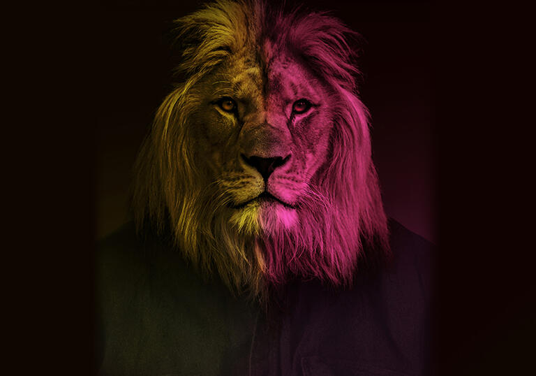 Lion's head on a black background