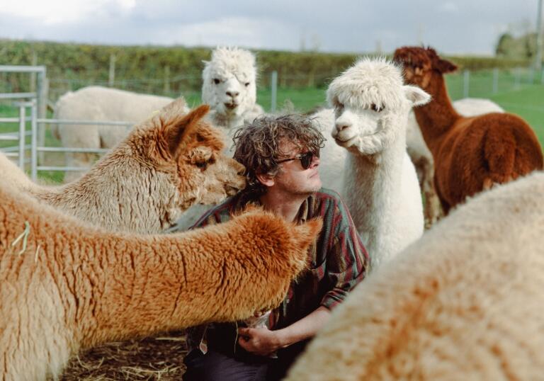 Bill Ryder-Jones sits surrounded by alpacas