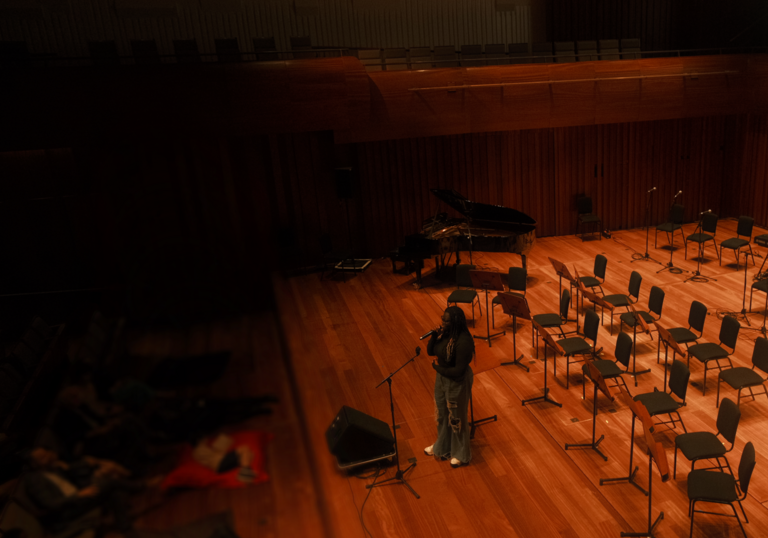 Artist performing to audience at front of stage