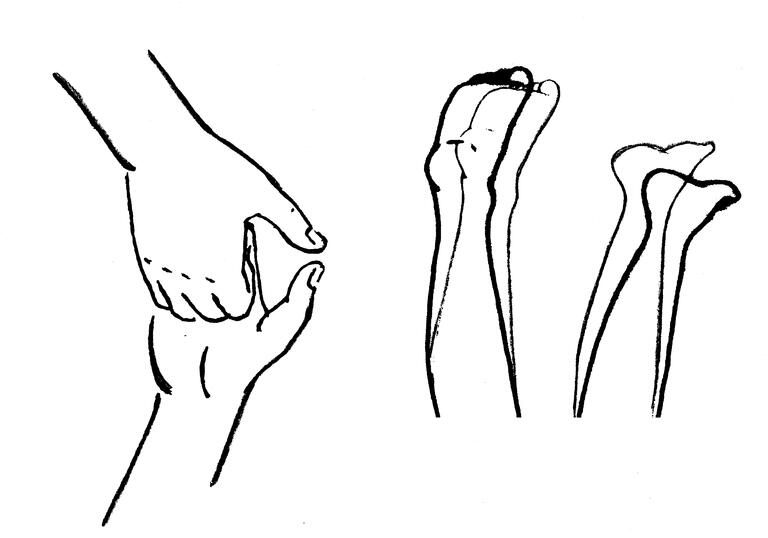 black and white pictogram