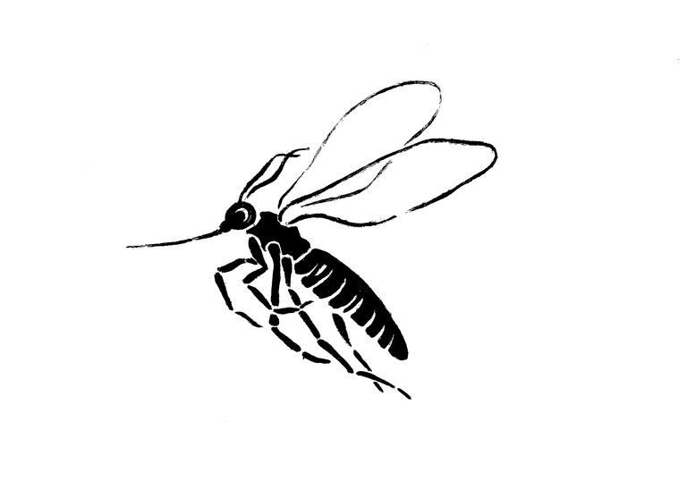 black and white pictogram