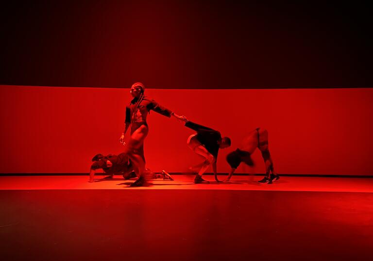 a photo of a dance performance