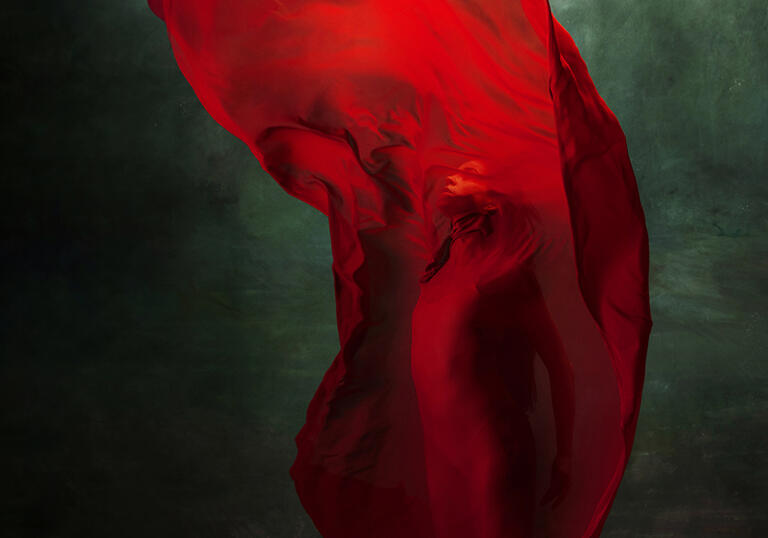 Henry VIII artwork - flowing red fabric showing the outline of a woman