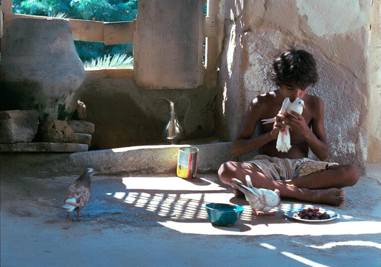 A still from Waiting, showing a teenage boy sitting cross-legged, holding a dove. On the floor around him is a plate of food and a silver jug.