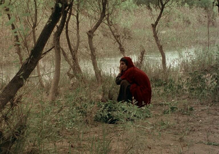 A woman wearing red, crouching amongst the trees by a river.