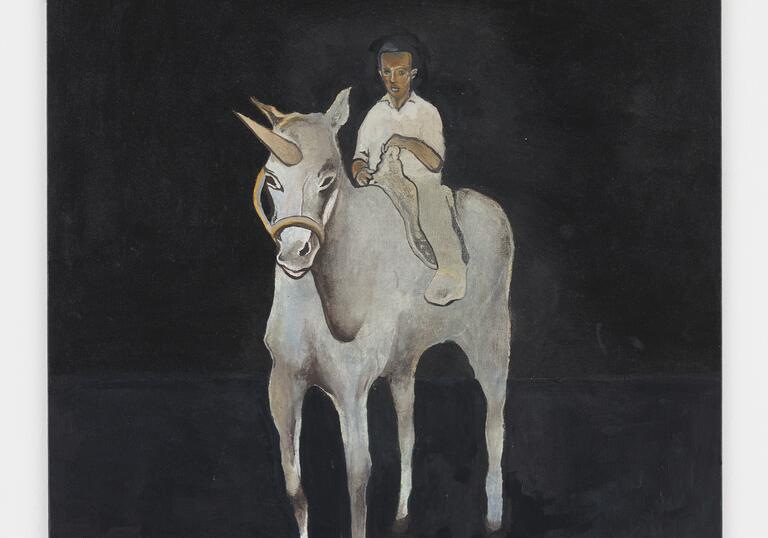 40 Acres and a Unicorn 2007