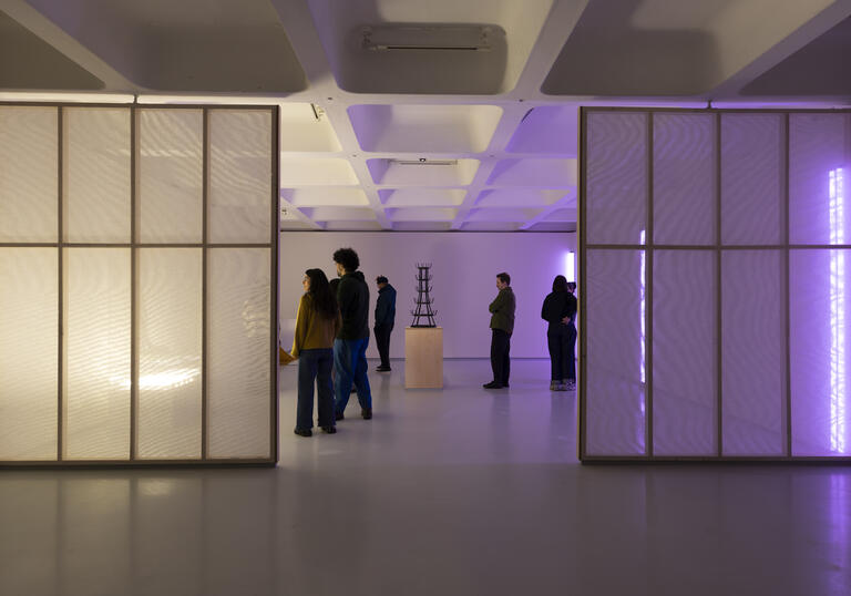 A view looking into Imitation of Wealth. In the centre is Noah Davis's imitation of Marcel Duchamp's Bottle Rack sculpture. On the right, three purple LED strip lights form his imitation of Dan Flavin.
