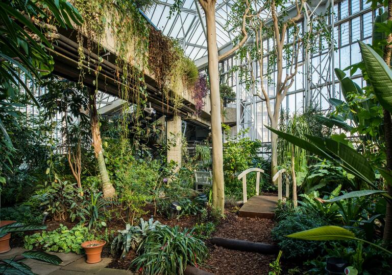 An image of the conservatory showing a small bridge that crosses over a stream on the right-hand side of the room.