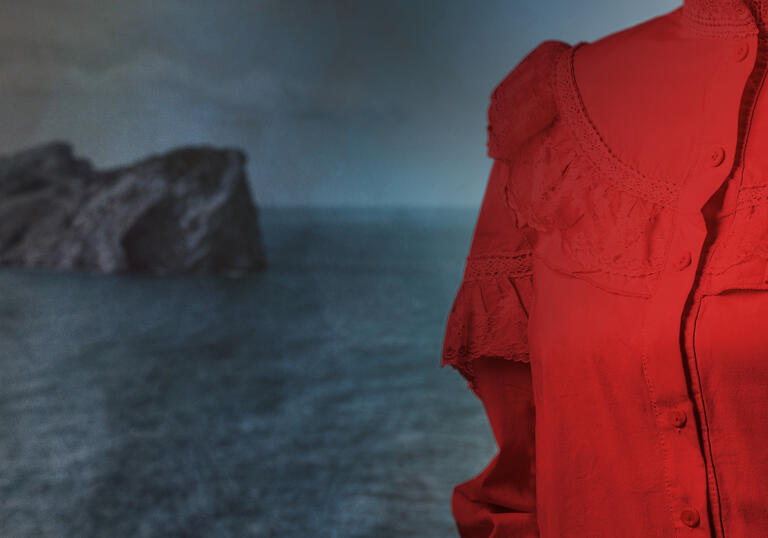 Orlando artwork - torso of person wearing red shirt against background of seascape
