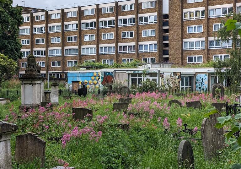 An overgrown graveyard with pink flowers in front of a block of flats.