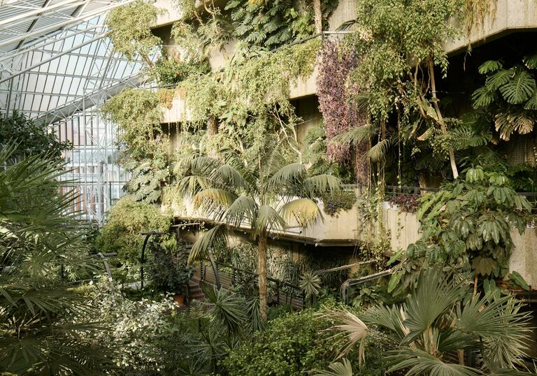An image of the conservatory