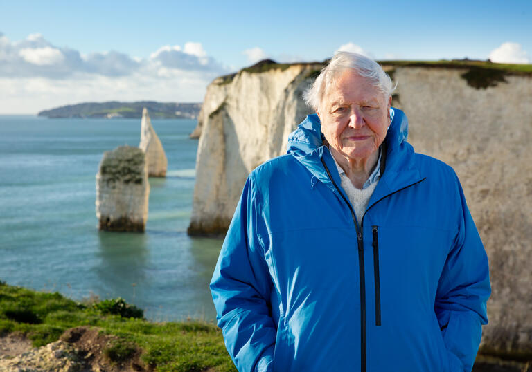 David Attenborough in a blue coat stands in front of white cliffs