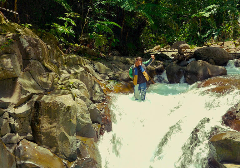 Louis VI standing at the top of a waterfall surrounded by foliage