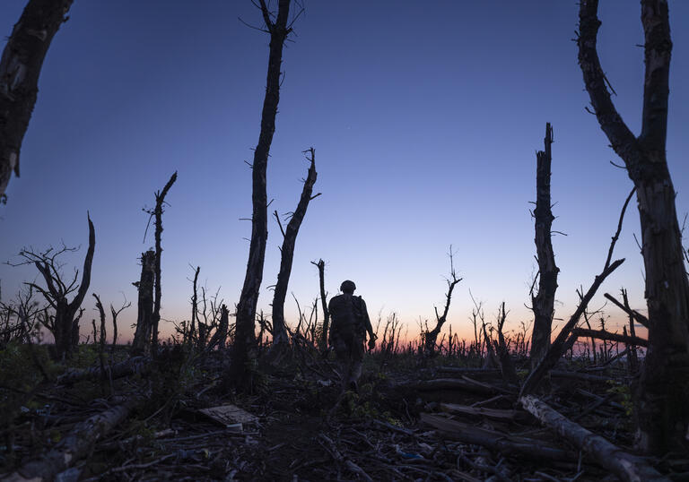 A man walking away in a destroyed forest 