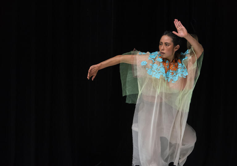 A dancer moves elegantly draped in a mesh, see-through fabric.