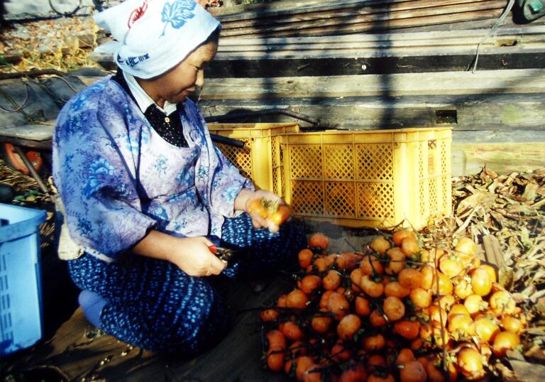 Red Persimmons (Manzan benigaki) Ogawa Productions and Peng Xiaolian 
