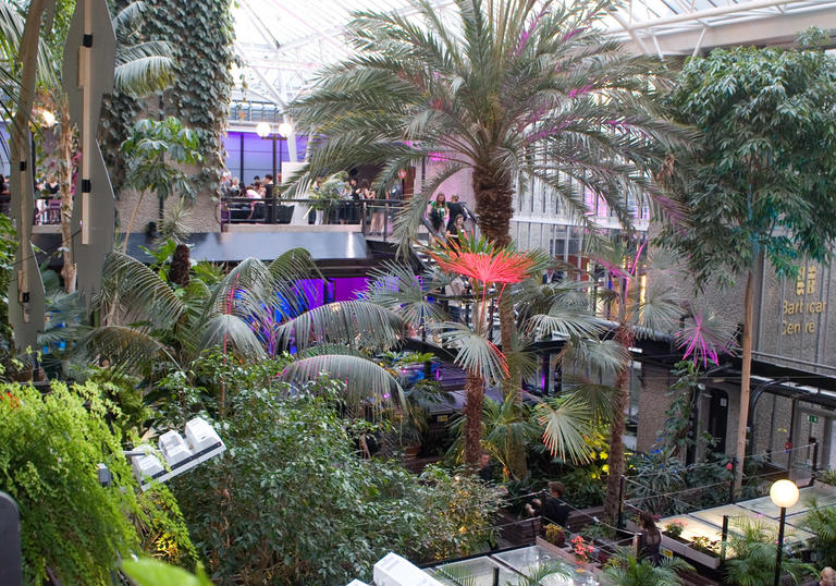 Photo of the Barbican Conservatory decorated during an event