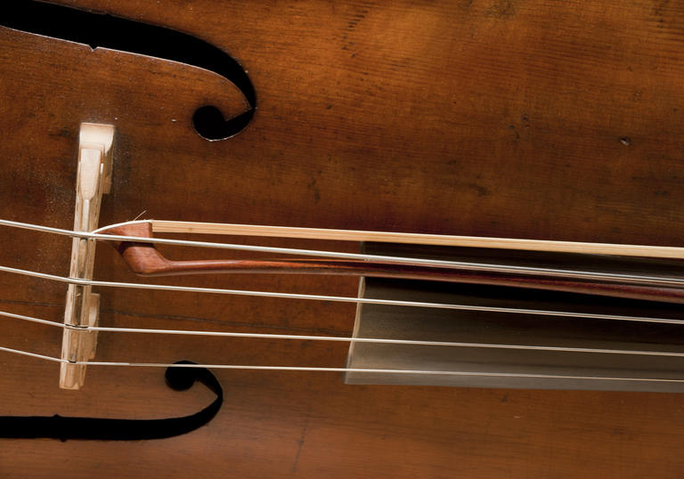 Photo of close up on cello