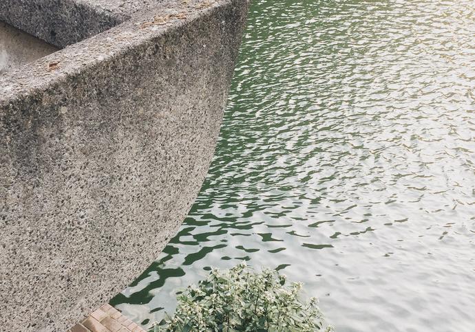 photo of nature and concrete