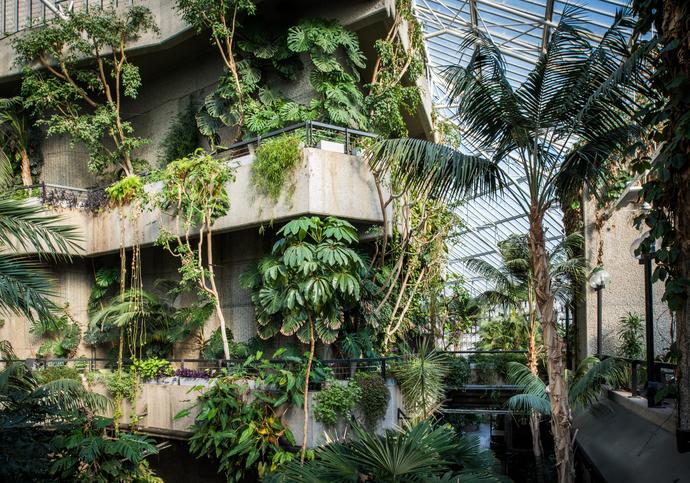 Barbican Conservatory