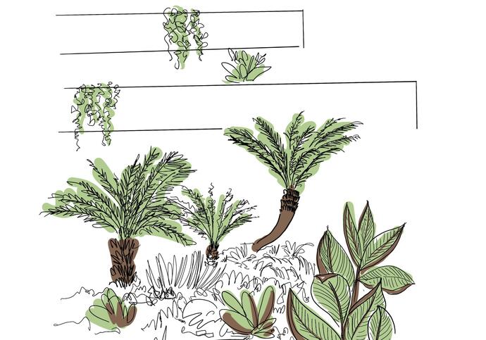 A colour sketch in green and brown showing plants at the ground and then in ascending shelves