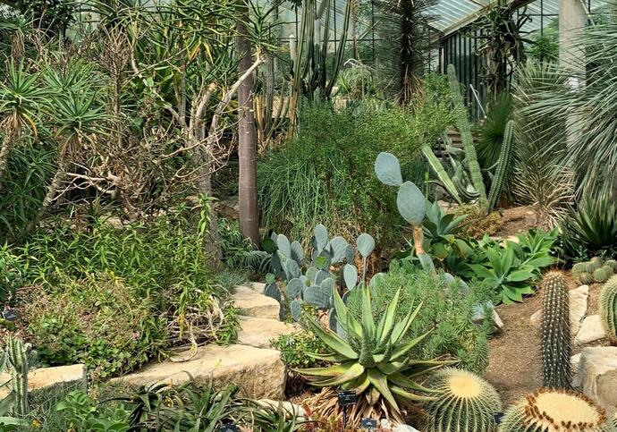 A collection of plants and trees in the arid zone, lots of different varieties