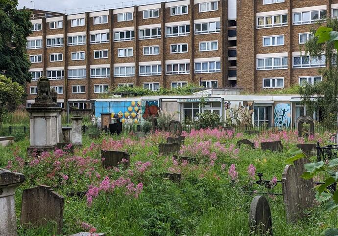 An overgrown graveyard with pink flowers in front of a block of flats.