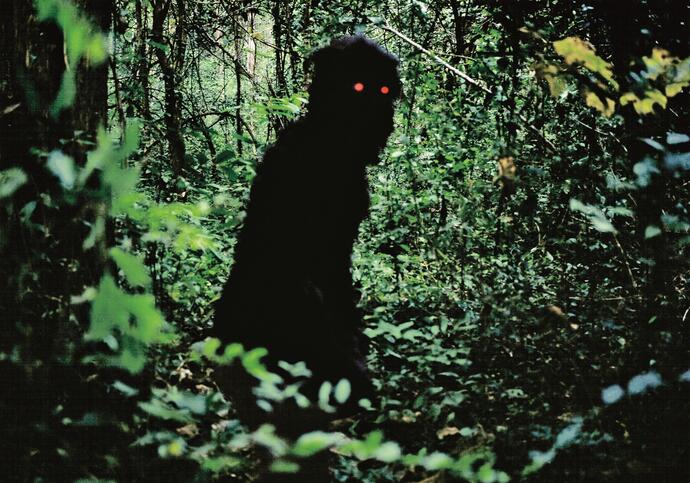 A monster with red eyes stands in the shadowy undergrowth of a forest.