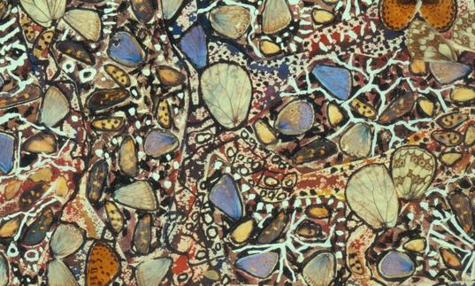 A painting by Jean Dubuffet, entitled Paysage aux Argus