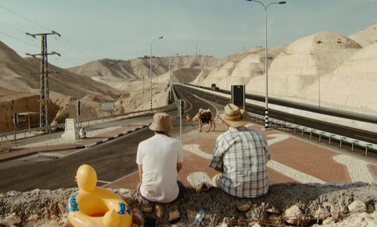 Two men sat looking out at a camel on a road