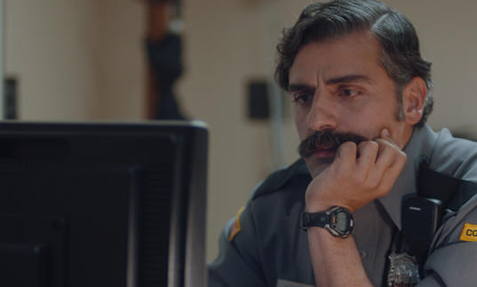 a police officer looking at a computer screen