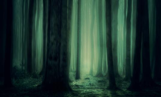 An abstract green image of a forest