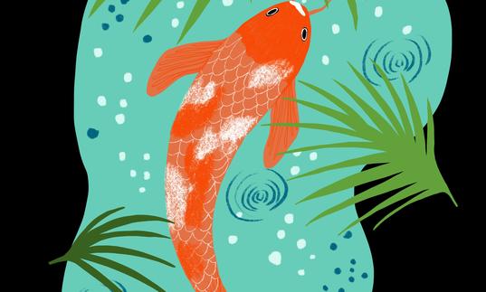 Illustration of a Koi Carp in a light blue pond with green leaves