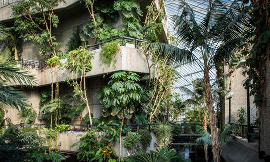 Barbican Conservatory