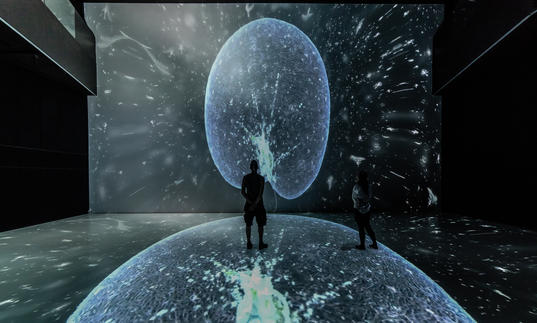 Someone in the Noise Aquarium