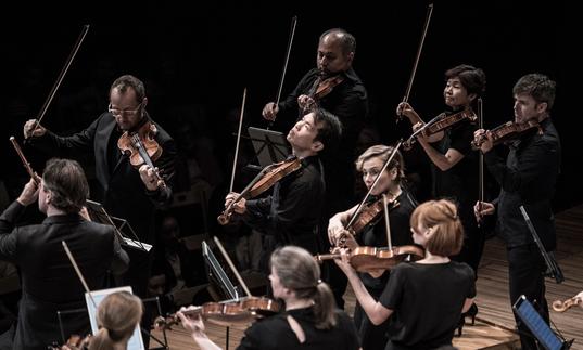 Violinists from the Australian Chamber Orchestra playing their instruments on stage
