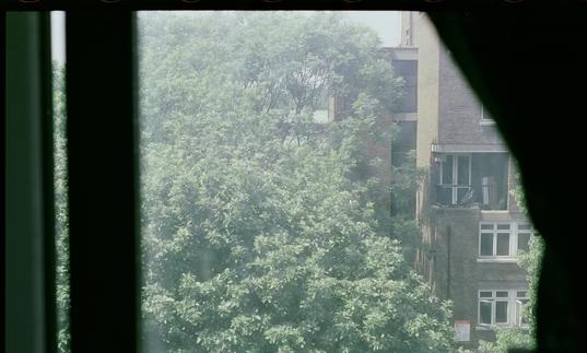 Words, Worlds, Whirled: Poets Place and the Barbican in Translation