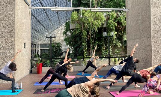 Yoga in the Conservatory