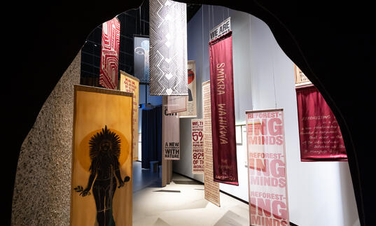 Flags created by Indigenous led collective Choose Earth