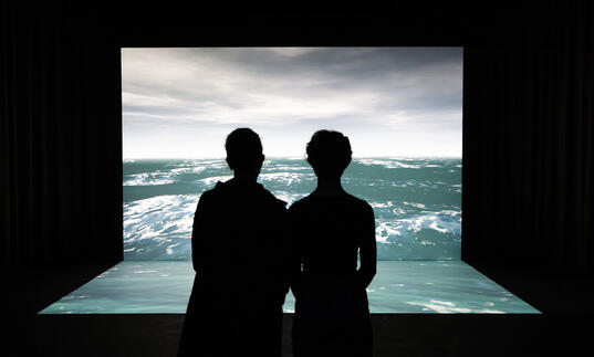 two people looking at a projection of the ocean 