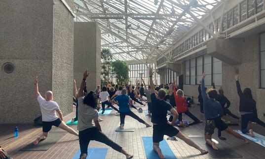 People doing yoga in the conservatory.