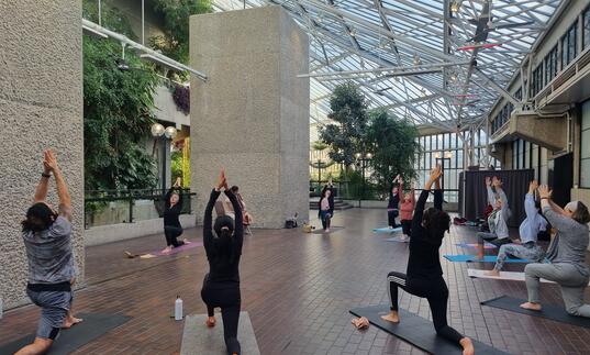 Members' Yoga class in the Conservatory with live cello