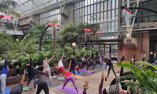 Members doing yoga in the Conservatory Well.