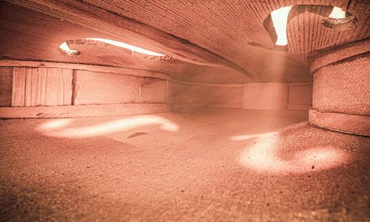 The inside of a violin
